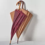 99116-32-umbrela-automata-