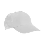 99547-06-sapca-baseball