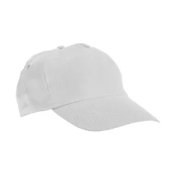 99547-06-sapca-baseball