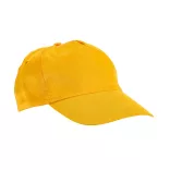 99547-08-sapca-baseball