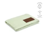 ABL002-131-Patura-Giotto