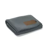 ABL006-133-Patura-Pollock