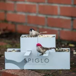 ABT002-107-Recipient-pentru-lichide-Spiglo-780-mlbrand-de-top-Rupt-