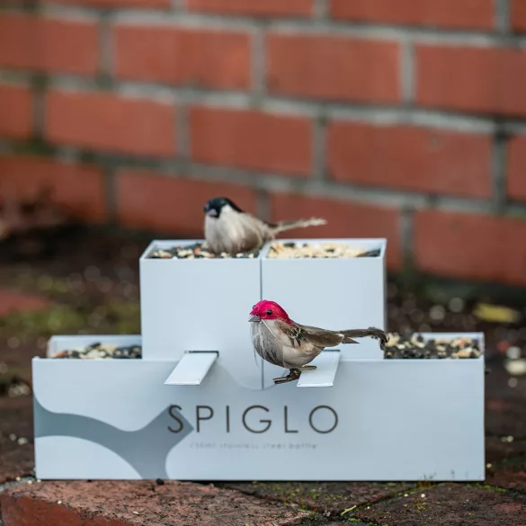 ABT002-107-Recipient-pentru-lichide-Spiglo-780-mlbrand-de-top-Rupt-