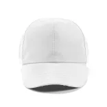 ACA005-106-Sapca-Amstrong-110-gr