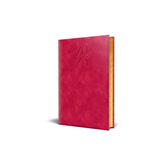 ADZ_CHIA_NE-Agenda-premium-delux-chia-datata-zilnic-15-x-21-ROSU