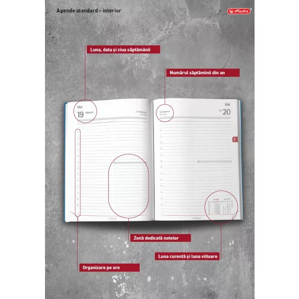 ADZ_STANDARD_HERLITZ_ADE-Agenda-Standard-datata-zilnic-15-x-21-ALBASTRU-DESCHIS