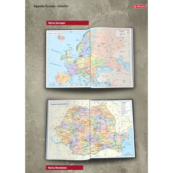 TUCSON_HER_Albastru_Deschis-Agenda-TUCSON-datata-zilnic-15-x-21