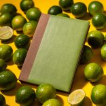 Agenda ABBEY datata zilnic - comanda minim 100 buc. - A5 -  [verde]