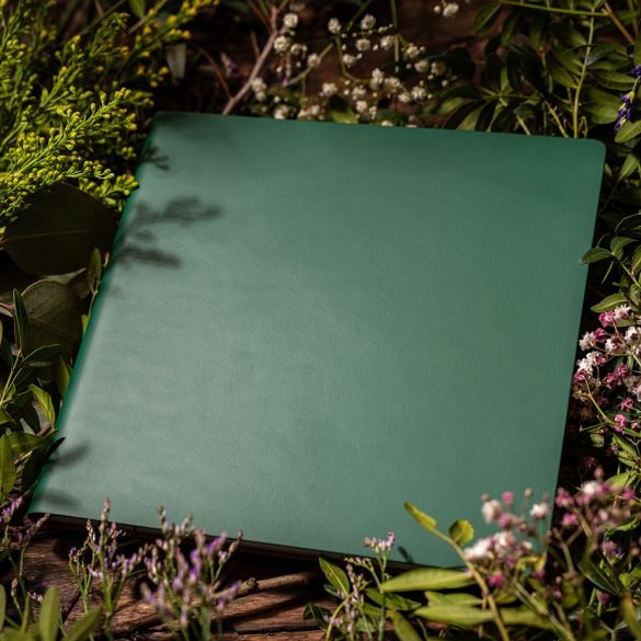 Agenda KID nedatata - 19x19 cm -  [verde]