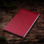 Agenda PUNTO nedatata - interior matematica - 14x20 cm - [rosu]