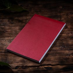   Agenda PUNTO nedatata - interior matematica - 14x20 cm - [rosu]