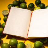 AG-USB-04-UNIKA-Agenda-USB-nedatata-16x22-cm