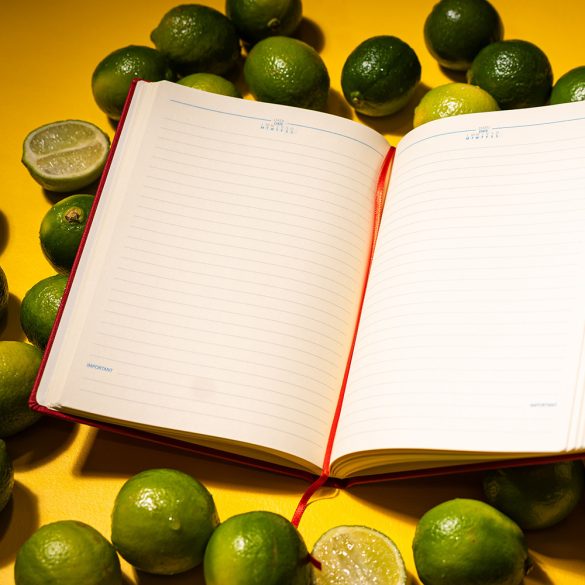 AG-USB-07-UNIKA-Agenda-USB-nedatata-16x22-cm