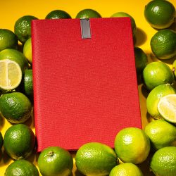 Agenda USB (8GB) nedatata - 16x22 cm [rosu]