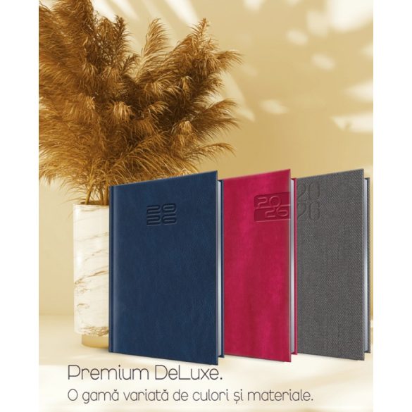 AGENDA_Chiavena_NEGRU-Agenda-Standard-datata-zilnic-15-x-21-NEGRU