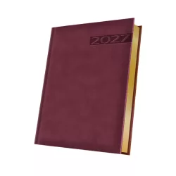 AGENDA_Teano_VISINIU-Agenda-Standard-datata-zilnic-15-x-21-VISINIU