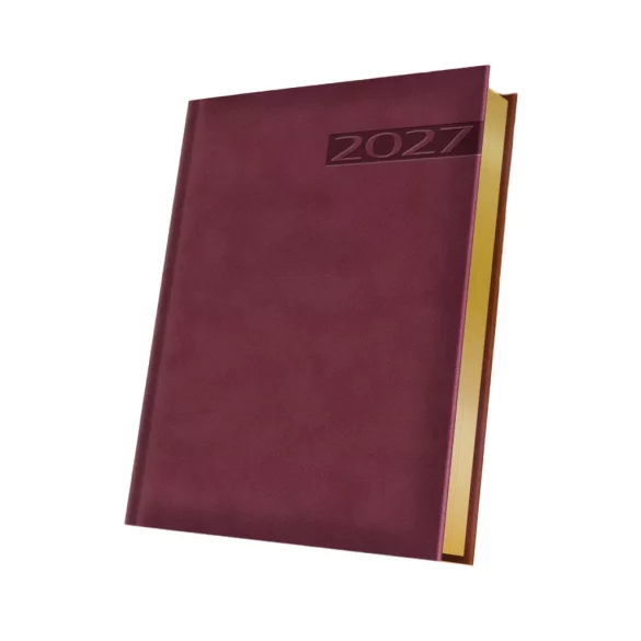 AGENDA_Teano_VISINIU-Agenda-Standard-datata-zilnic-15-x-21-VISINIU