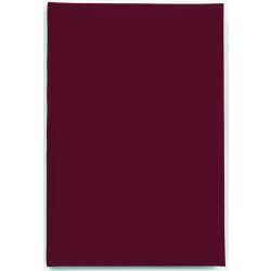 AG-11-EGO-Agenda-nedatata-DOMINO-Visiniu-14x21-cm