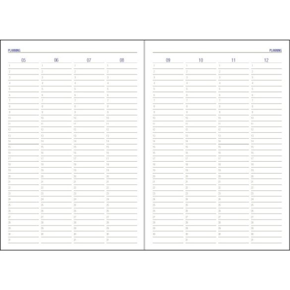 AG-11-EGO-Agenda-nedatata-DOMINO-Visiniu-14x21-cm