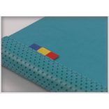 AG_CENTURY_NED_A5_VISINIU-Agenda-nedatata-Oxford-Century-A5-15-x-21-cm-Visiniu