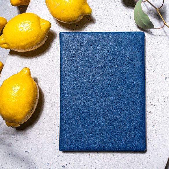 Agenda DOTTY planificator - proiect special - A5 - [albastru]