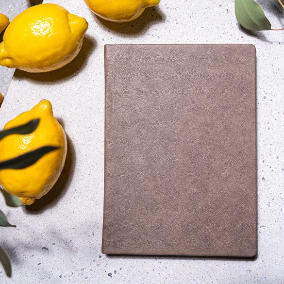 Agenda DOTTY planificator - proiect special - A5 - [bej]