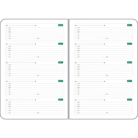 Agenda-nedatata-ECO-AppleSkin-TM-17x24-cm-verde-deschis