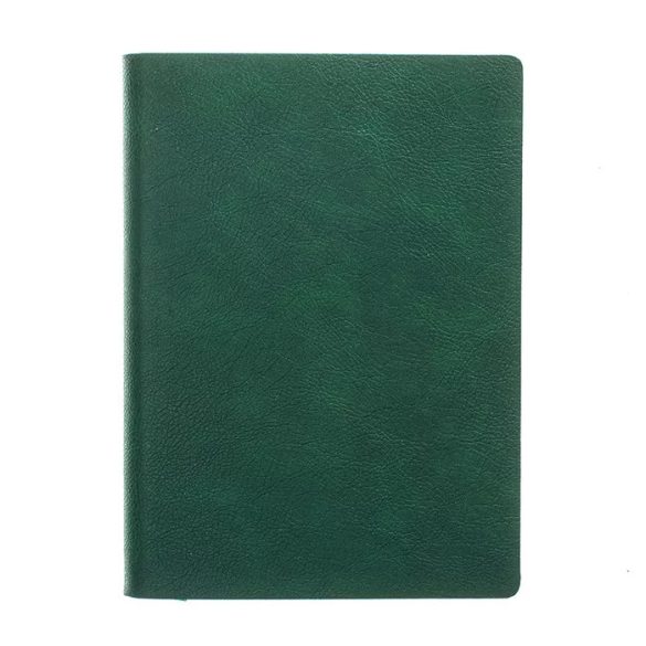 Agenda cu interior liniat Flexi 2026 - 13 x 21 cm [verde]