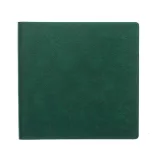 Agenda-nedatata-Flexi-Quatro-20-x-20-cm-verde