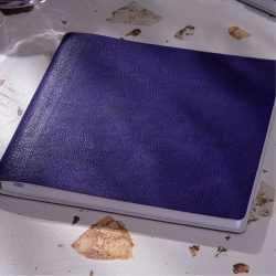 Agenda nedatata Flexi Quatro 2026 - 20 x 20 cm [mov]