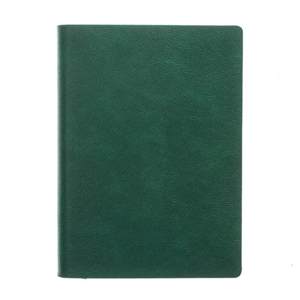 AG_FLEXI_DATZ_VERDE_UNIKA-Agenda-datata-zilnic-Flexi-16-x-22-cm-v