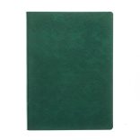 AG_FLEXI_NED_VERDE_UNIKA-Agenda-nedatata-Flexi-16-x-22-cm-verde