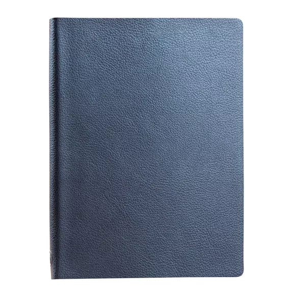 Agenda-datata-zilnic-Matrix-2023-16-x-22-cm-albastru-perlat