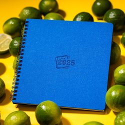 Agenda-autodatata-Square-19-x-19-cm-albastru