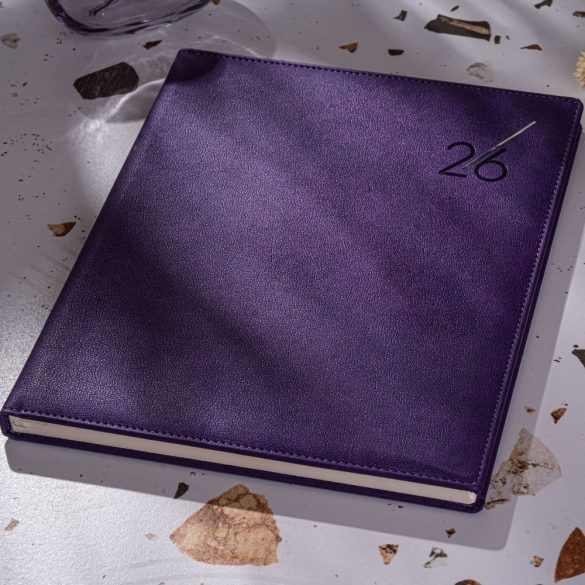 Agenda-True-datata-saptamanal-mov