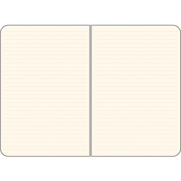 AG_USB_NB11-Notebook-cu-USB-8-GB-17-x-24-cm-Rosu