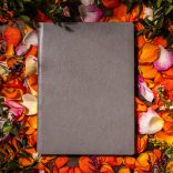 Agenda ZEN matematica/dictando - 16x22 cm - [gri]