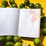 Agenda ZEN matematica/dictando - 16x22 cm - [gri]