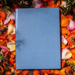 Agenda ZEN matematica/dictando - 16x22 cm - [bleu]