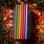 Agenda ZEN matematica/dictando - 16x22 cm - [bleu]