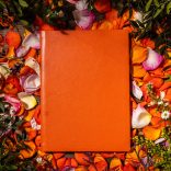 Agenda ZEN matematica/dictando - 16x22 cm - [portocaliu]