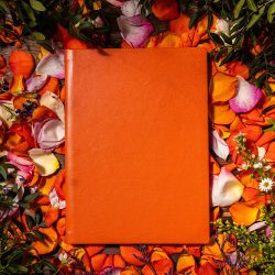 Agenda ZEN matematica/dictando - 16x22 cm - [portocaliu]