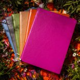 Agenda ZEN matematica/dictando - 16x22 cm - [portocaliu]