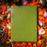 Agenda ZEN matematica/dictando - 16x22 cm - [vernil]