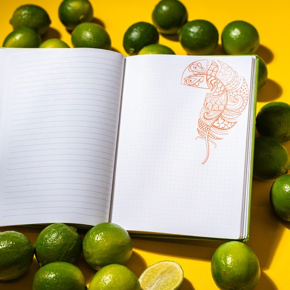 Agenda ZEN matematica/dictando - 16x22 cm - [vernil]