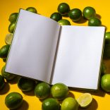 Agenda ZEN matematica/dictando - 16x22 cm - [vernil]