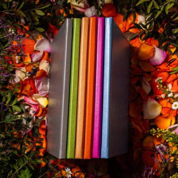 Agenda ZEN matematica/dictando - 16x22 cm - [vernil]