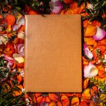 Agenda ZEN matematica/dictando - 16x22 cm - [bej]