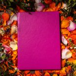 Agenda ZEN matematica/dictando - 16x22 cm - [fucsia]